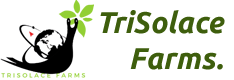 Trisolace-logo.png